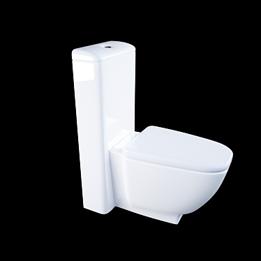 Sanitana Tocai BTW Toilet 3D model image 1 