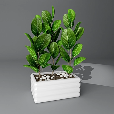 Lush Leafy Green Indoor Plant 3D model image 1 