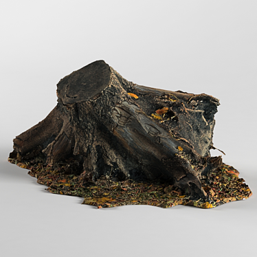 Nature-inspired Stump Replica 3D model image 1 