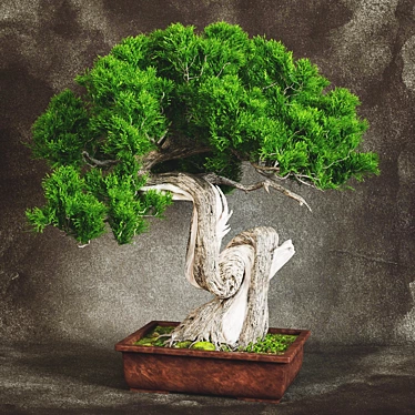 Handcrafted Bonsai Tree Sculpture 3D model image 1 