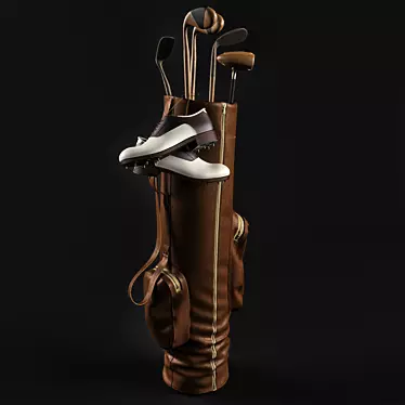 Classic Vintage Golf Bag 3D model image 1 