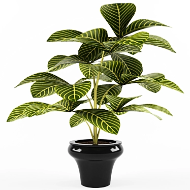 Realistic Schefflera Plant in Pot 3D model image 1 