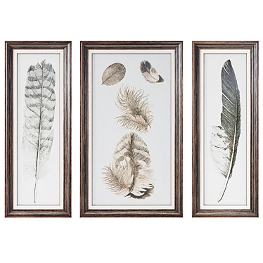 Uttermost Feather Study Wall Art Prints (Set of 3)