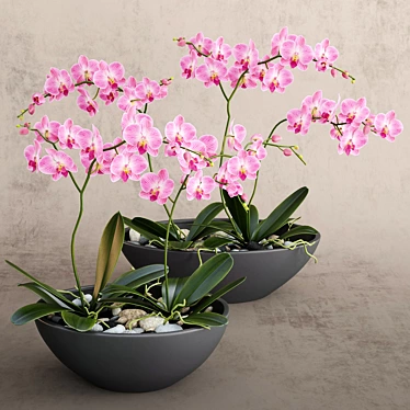 Elegant Orchid Bouquet 3D model image 1 