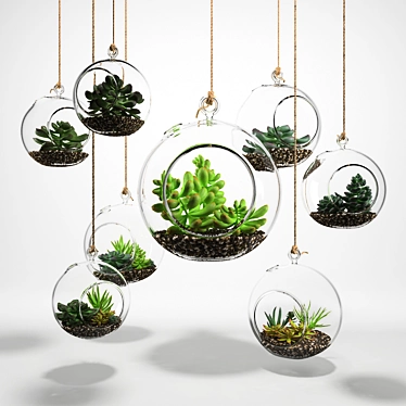 Sedum in Glass Sphere: Lush Succulent Display 3D model image 1 