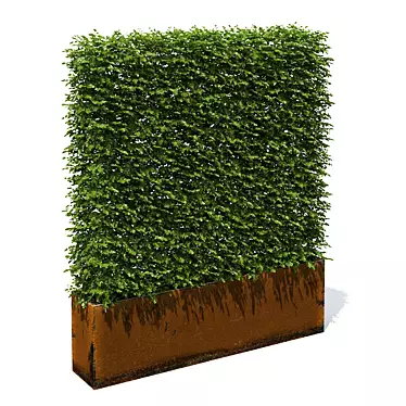 Rustic Metal High Hedges 3D model image 1 