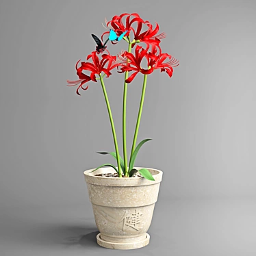 Lycoris: Exquisite Amaryllis Blooms 3D model image 1 