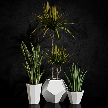 Fresh & fabulous houseplants 3D model image 1 