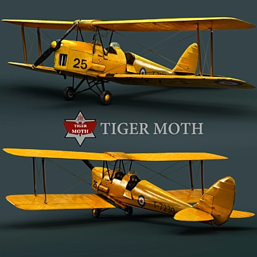 Vintage Tiger Moth Biplane: Classic 1930s Training Aircraft 3D model image 1 