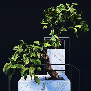  Exquisite Bonsai Tree - Realistic 3D Model 3D model image 1 