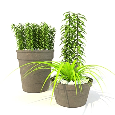 Botanical Bliss: 3D Plant Collection 3D model image 1 