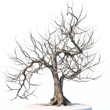 Eerie Tree Sculpture 3D model image 1 