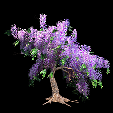 Elegant Wisteria Tree 3D model image 1 