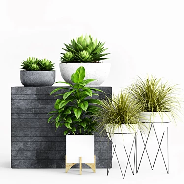 Botanical Beauties: Vibrant Plants & Stylish Planters 3D model image 1 