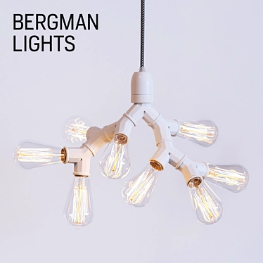 Bergman Lights: Versatile Chandelier with Edison Bulbs 3D model image 1 