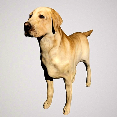 Adorable Labrador Dog Sculpture 3D model image 1 