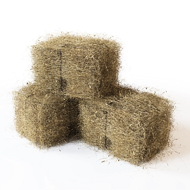 Premium Hay Bales - Quality & Value 3D model image 1 