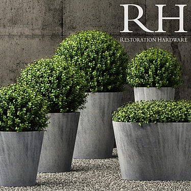 Estate Zinc Round Planters | Restoration Hardware 3D model image 1 