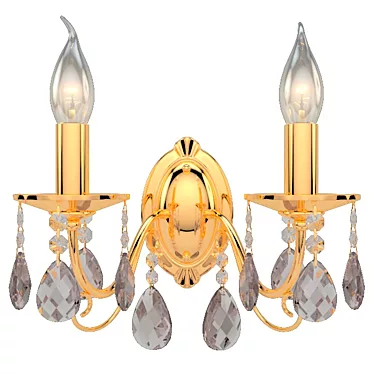 Gilded Crystal Double Sconce 3D model image 1 