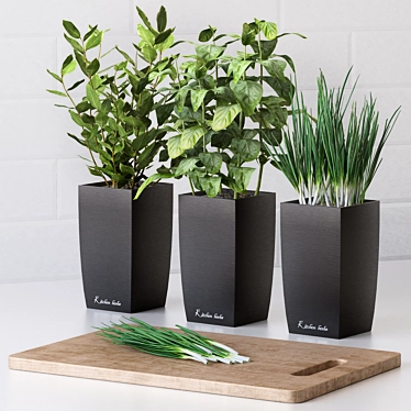 Kitchen Herb Garden: Basil, Bay Leaf, Green Onion 3D model image 1 