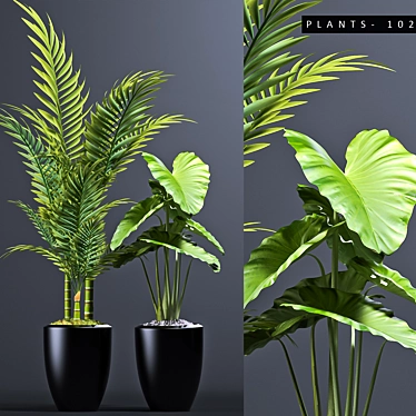 Maximize Your Plant Collection 3D model image 1 