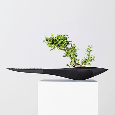 Sculptural Speed: Kasokudo Bonsai 3D model image 1 