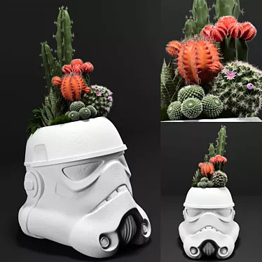 Stormtrooper Garden