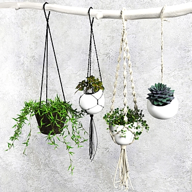 Green Oasis: Decorative Plant Set 3D model image 1 