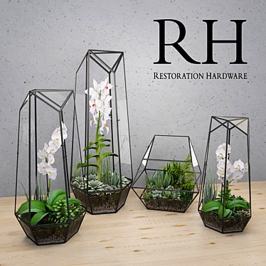 Elegant Glass Terrarium Set 3D model image 1 