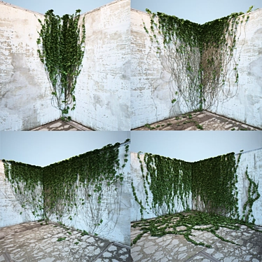 Lush Ivy Collection: 4 Corner Models 3D model image 1 