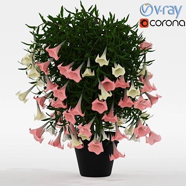Houseplant Seal Brown