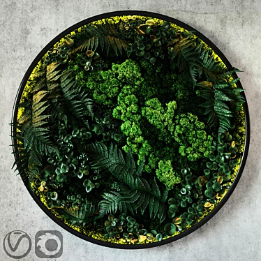 LED-illuminated Fyto Disk: Moss, Fern, and Peperomia Blend 3D model image 1 