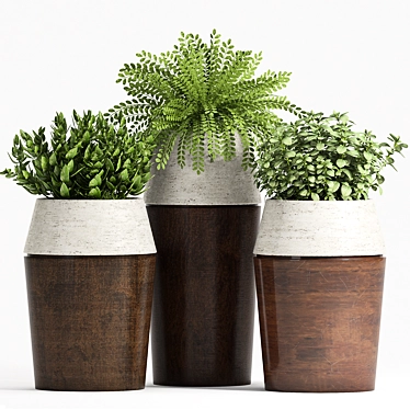 Botanical Oasis: Decorative Planters 3D model image 1 