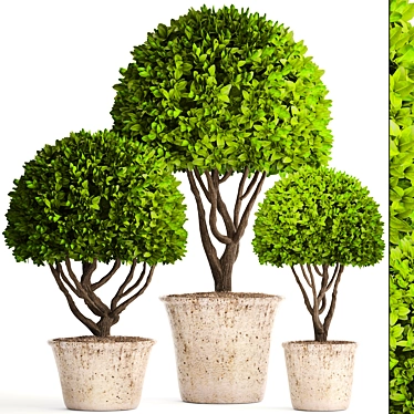 Spectacular Topiary Collection: 126 Varieties 3D model image 1 