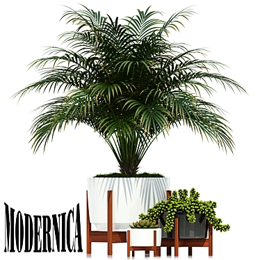 Modernica Pots - Plants Collection 68 3D model image 1 