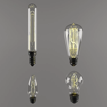 Loft Light Bulbs 2-Pack. 3D model image 1 