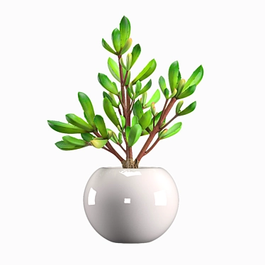 Modern Leafy Pot Plant Décor 3D model image 1 