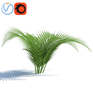 Fern (with a wind effect)