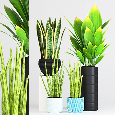 Green Oasis Pot Set: Aloe Vera, Cylindrical Sansevieria & Palm Plant 3D model image 1 