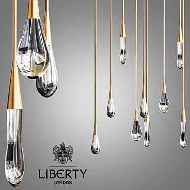 Elegant Pour Chandelier by Liberty 3D model image 1 