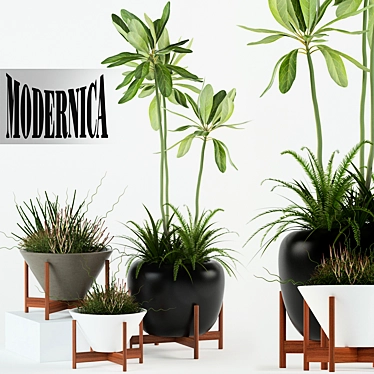 77 Modernica Pots for Stylish Plant Collection 3D model image 1 