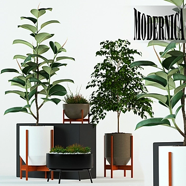 Botanical Bliss: 78 Modernica Pot Collection 3D model image 1 