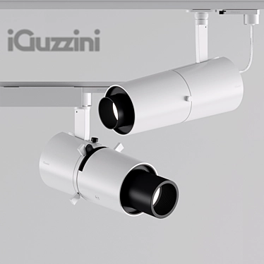 iGuzzini Palco framer