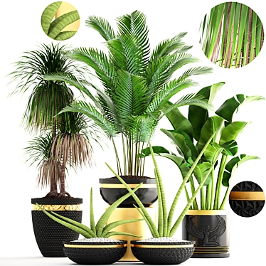 Luxury Indoor Plant Collection 3D model image 1 