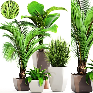 Green Haven: Beautiful Indoor Plant Collection 3D model image 1 