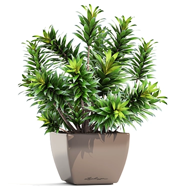 Reflexa Dracaena: Stylish Interior Decor 3D model image 1 