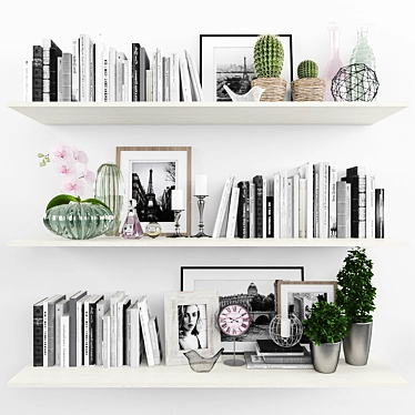 Stylish Decor Set: Books, Plants, Frames, Clocks, Art 3D model image 1 