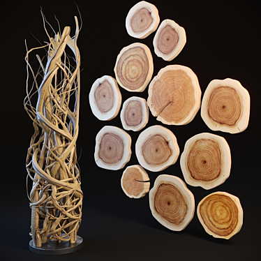 Wood & Twig Decor Set 3D model image 1 