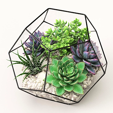 Terrarium: A Beautiful Botanical World 3D model image 1 