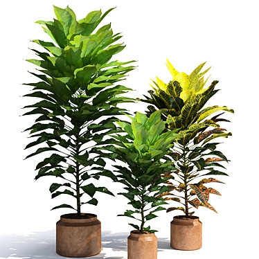 Tropical Elegance: Cordyline & Codiaeum 3D model image 1 